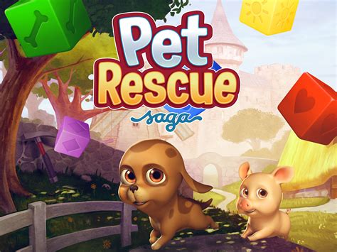 petrescue saga